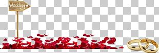 Marriage Wedding Khoury Home Retail Online Shopping PNG