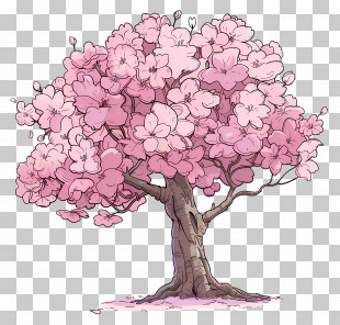 Cherry Blossom Tree - Spring Blossom Tree Artwork PNG