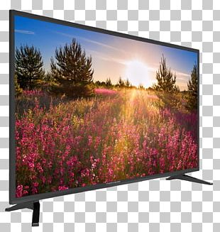 Technicolor SA DNS Artikel Price Television PNG