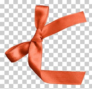 National Multiple Sclerosis Society MS Walk Awareness ribbon