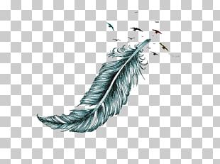 Transparent Feather Pen Png  Feather Tattoos Png Download  Transparent  Png Image  PNGitem