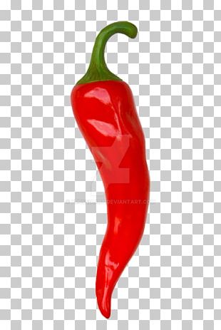 Chili Pepper Mexican Cuisine Chili Con Carne Cartoon PNG, Clipart, Art ...