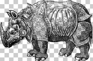 DÃ¼rer's Rhinoceros Armour Drawing PNG