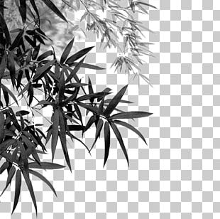 Bamboo Ink Brush PNG