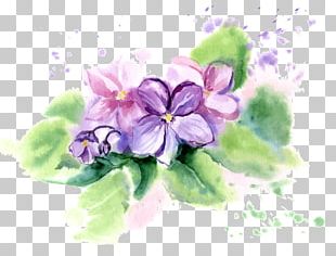 African Violets Flower Watercolor Painting PNG