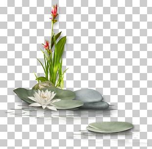 Buddhism Buddhahood Zen Buddhist Meditation PNG