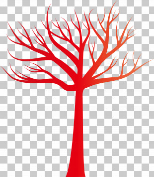 Red Tree Leaf Line Woody Plant PNG