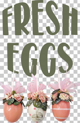 Fresh Eggs PNG