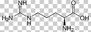 Arginine Citrulline Amino Acid Structure Side Chain PNG