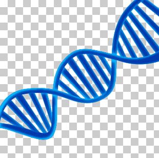 DNA PNG, Clipart, Dna Free PNG Download