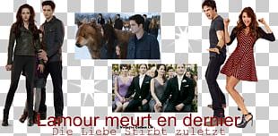 Elena Gilbert Damon Salvatore Niklaus Mikaelson The Vampire Diaries PNG