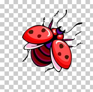 volkswagen coccinelle png images volkswagen coccinelle clipart free download imgbin com