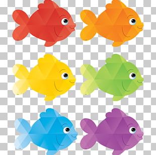 Goldfish Stock Photography Tropical Fish Feeder Fish PNG, Clipart ...