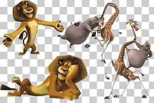 Madagascar Film PNG, Clipart, Clip Art, Eric Darnell, Film, Film Clip ...