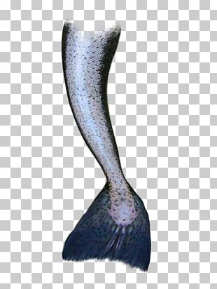 Mermaid Tail Siren Sticker Mug PNG, Clipart, Book, Fantasy