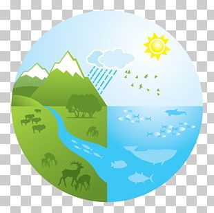 ecosystem clipart