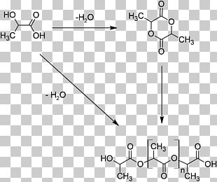 Polylactic Acid Biodegradation Polymer Plastic PNG