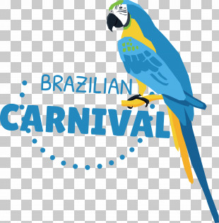Macaw Logo Beak Line Parakeet PNG