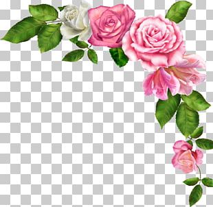 Hand Painted Pink Borders PNG, Clipart, Beautiful, Beautiful Border ...