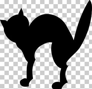 Black Cat Whiskers Silhouette PNG, Clipart, Animals, Black, Black And ...