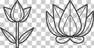 Flower Petal Symbol PNG