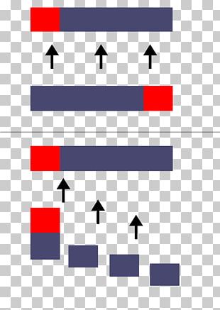 Battle Of Leuctra Thebes Ancient Greece Phalanx Oblique Order PNG