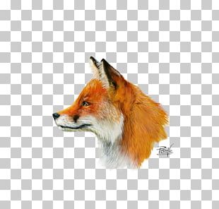 Drawing Watercolor Painting Paintbrush PNG