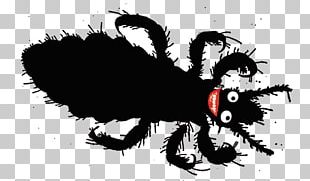 Teigar Middle School Cabelo Head Louse Sucking Louse PNG