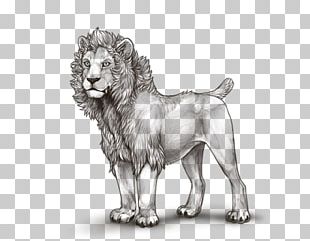 Dog Breed Lion Cat Drawing PNG