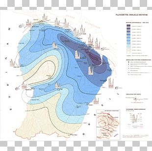 Cartoon Map Nose PNG