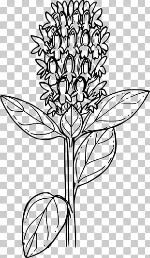 T-shirt Spreadshirt Floral Design PNG