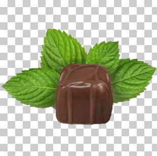 Chocolate Truffle Mint Chocolate Caffeine PNG