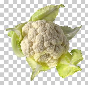 Cauliflower Cabbage File Formats PNG