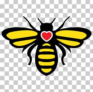 Honey Bee Bumblebee Honeycomb Pollinator PNG