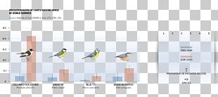 Bird Climate Change Chart European Pied Flycatcher Global Warming PNG