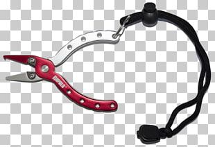 Car Body Jewellery PNG