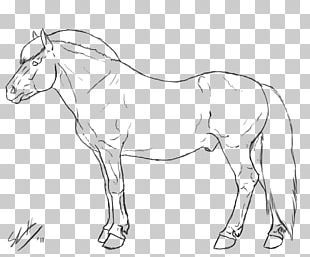 Fjord Horse Line Art Drawing Mule PNG