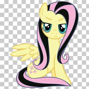 Fluttershy Twilight Sparkle Rainbow Dash Rarity Pinkie Pie PNG