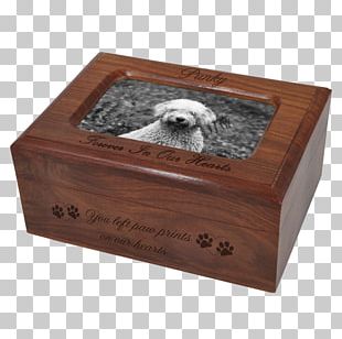 Urn English Cocker Spaniel Jewellery Gold-filled Jewelry PNG