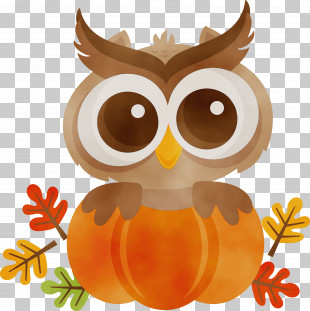 Owls Eastern Screech Owl Great Horned Owl Barn Owl Birds PNG