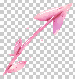 Pink Curved Arrow - Pink Arrow With Decorative Feathers PNG