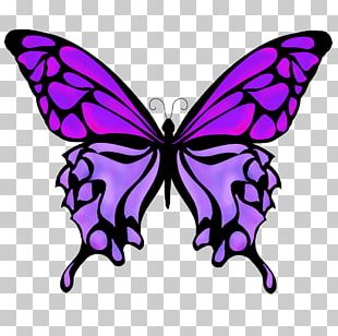 Monarch Butterfly Drawing Color PNG, Clipart, 21 Emoji, Brush Footed ...