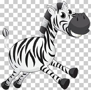 Zebra Cartoon PNG, Clipart, Animals, Animation, Cartoon Zebra, Creative ...