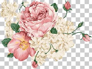 peach flower png images peach flower clipart free download imgbin com