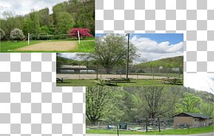 Property Land Lot Energy Grasses Tree PNG