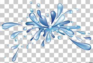 Splash Water Drop PNG, Clipart, Black And White, Branch, Circle ...