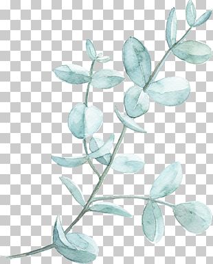 Leaf Watercolor Painting PNG, Clipart, Autumn Leaves, Branch, Cartoon ...