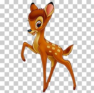 Thumper Faline Bambi Great Prince Of The Forest Friend Owl PNG, Clipart ...