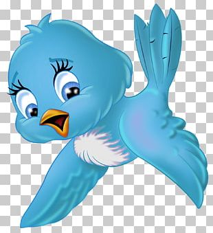 Bird Cartoon Illustration PNG, Clipart, Animal, Art, Beak, Bird, Bird ...