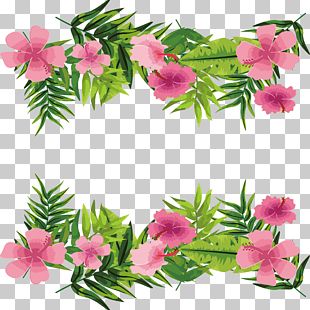 Warm Pink Flowers Floral Frame PNG, Clipart, Album, Border Frame, Cute ...